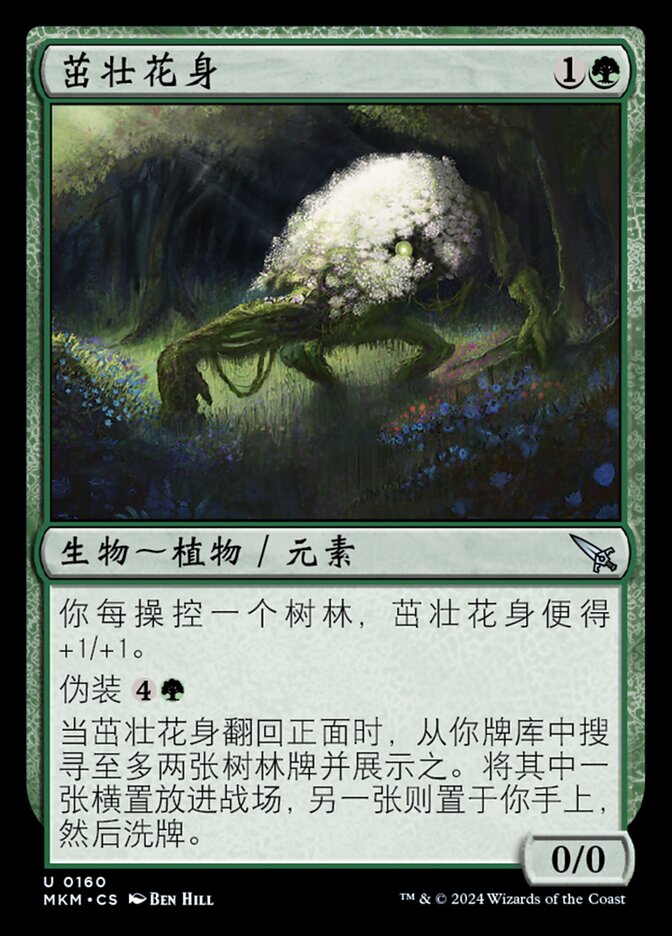 茁壮花身