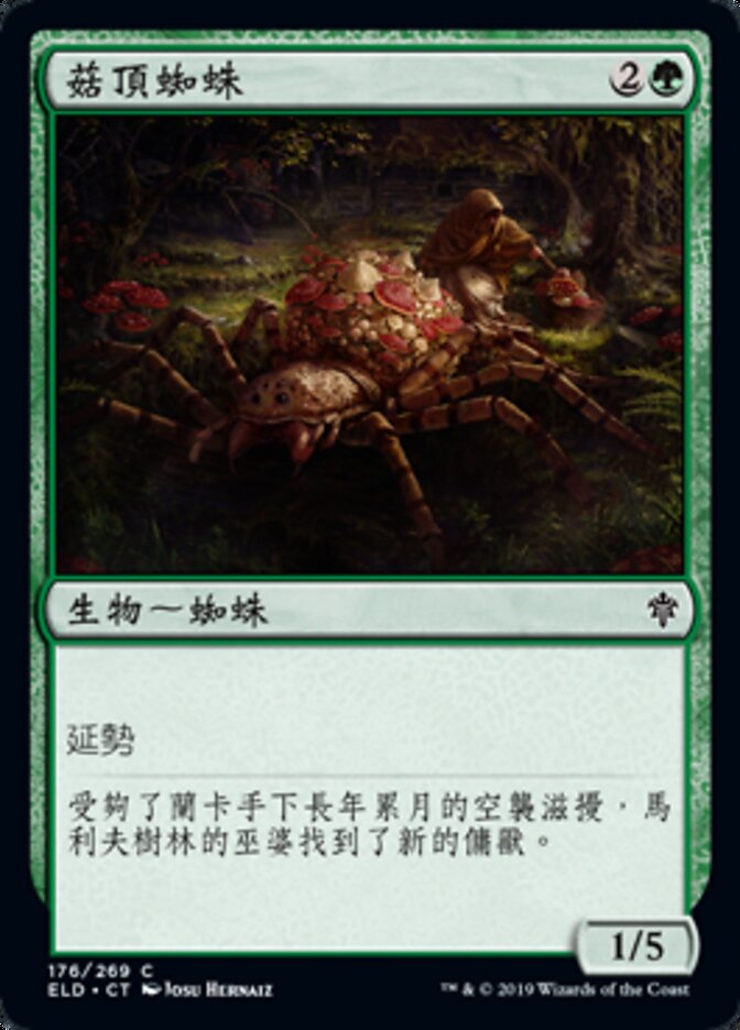 菇頂蜘蛛