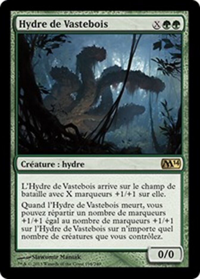 Hydre de Vastebois