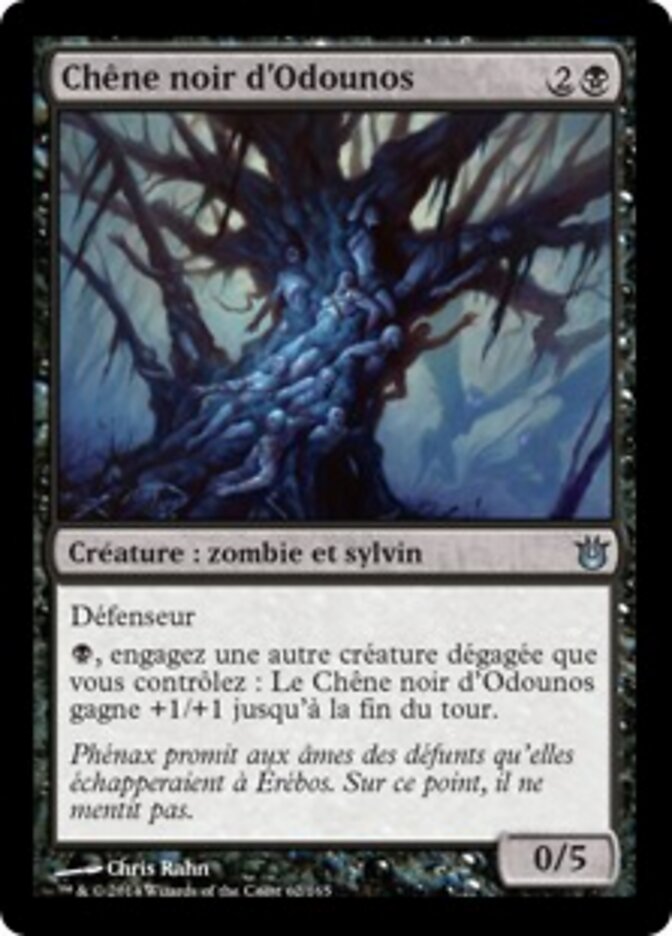 Chêne noir d'Odounos