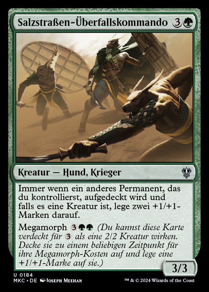 Salzstraßen-Überfallskommando