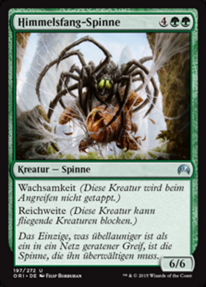 Himmelsfang-Spinne