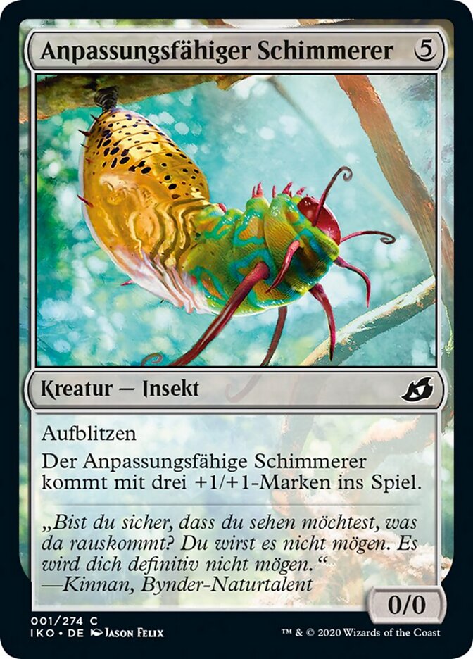 Anpassungsfähiger Schimmerer