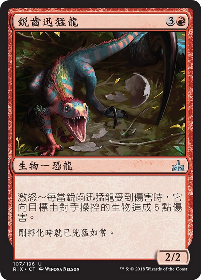 銳齒迅猛龍