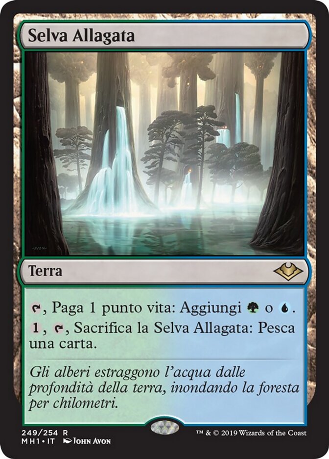 Selva Allagata