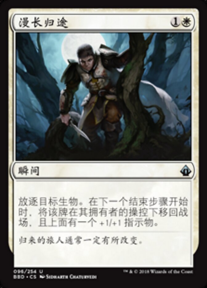 漫长归途