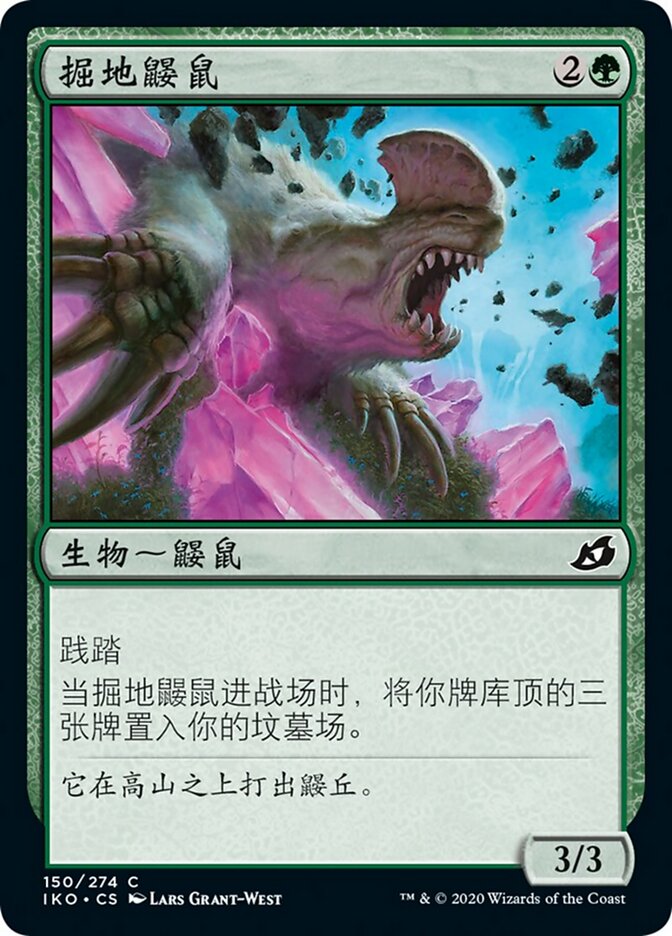 掘地鼹鼠