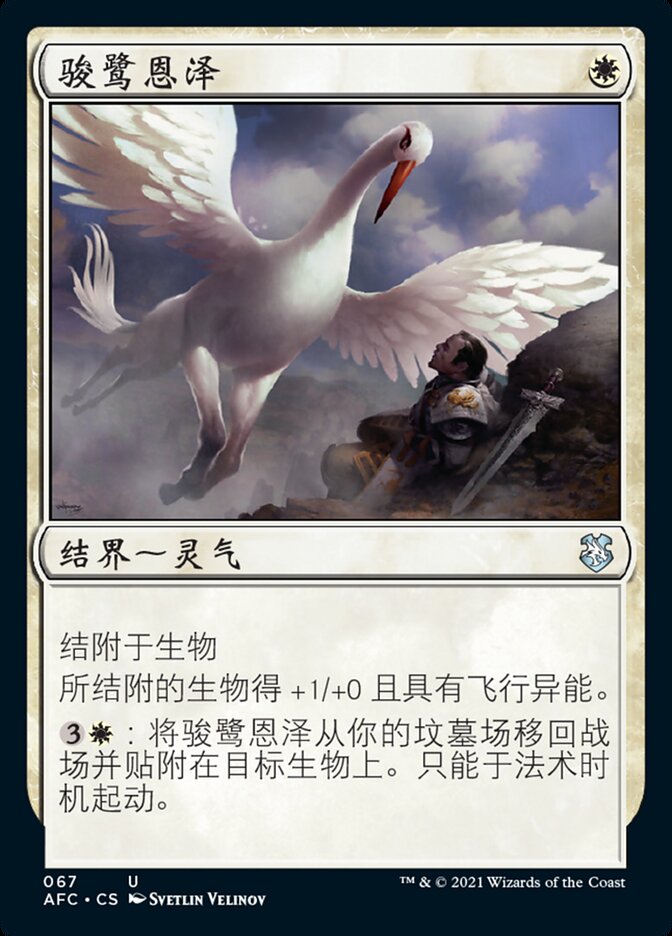 骏鹭恩泽