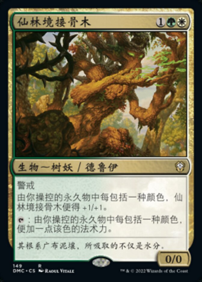 仙林境接骨木