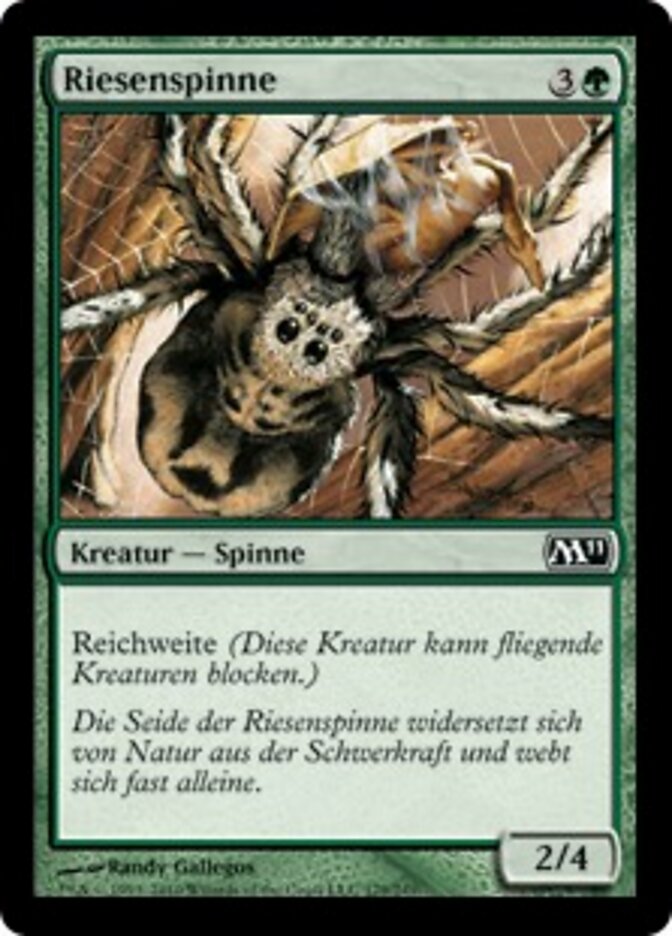 Riesenspinne