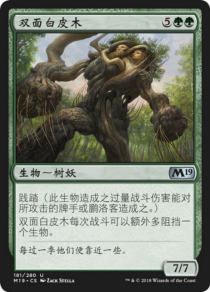 双面白皮木