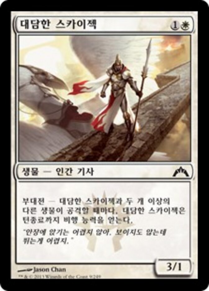대담한 스카이젝