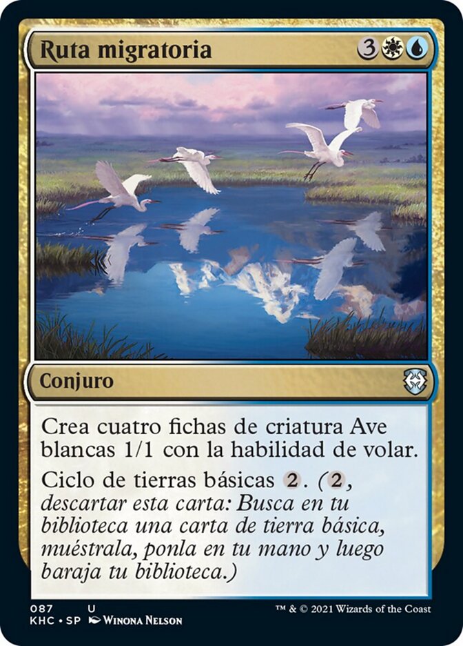 Ruta migratoria