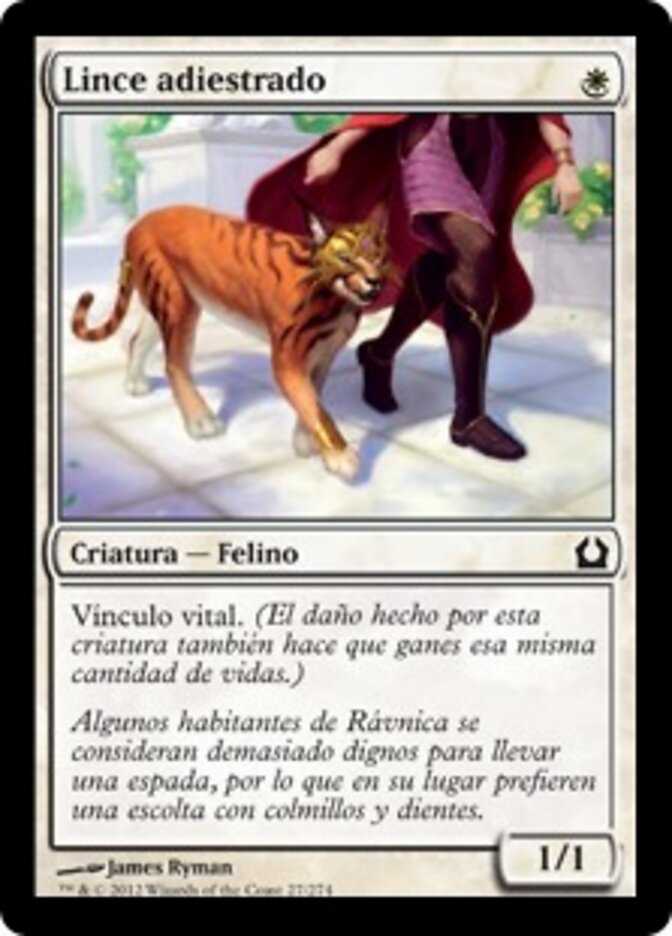 Lince adiestrado