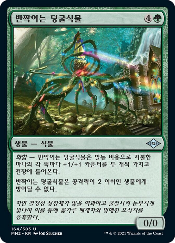 반짝이는 덩굴식물