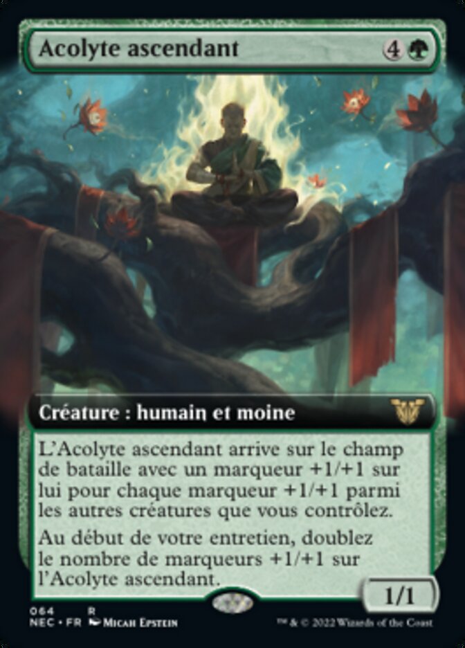 Acolyte ascendant