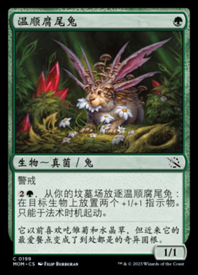 温顺腐尾兔