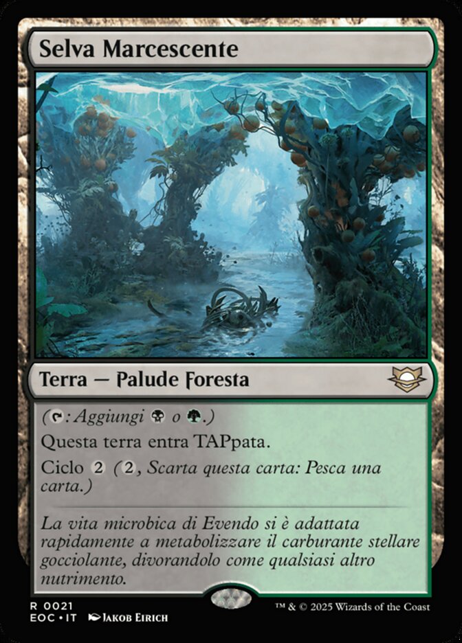 Selva Marcescente