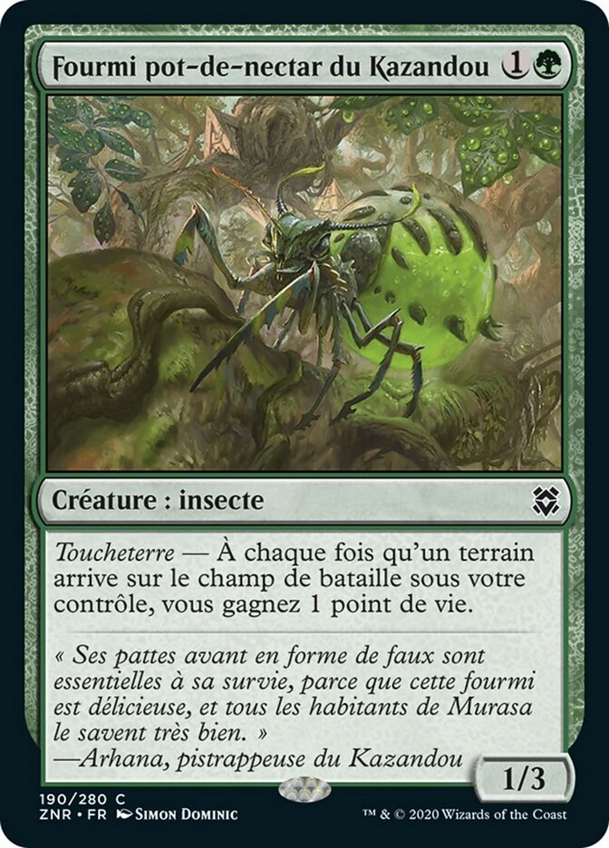 Fourmi pot-de-nectar du Kazandou