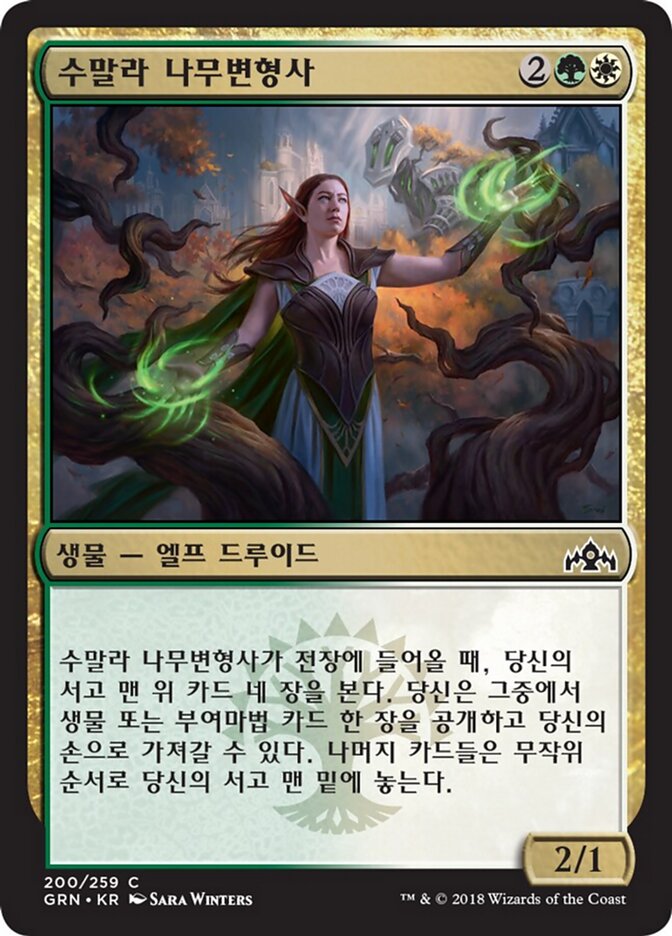 수말라 나무변형사