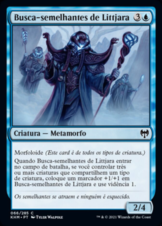 Busca-semelhantes de Littjara