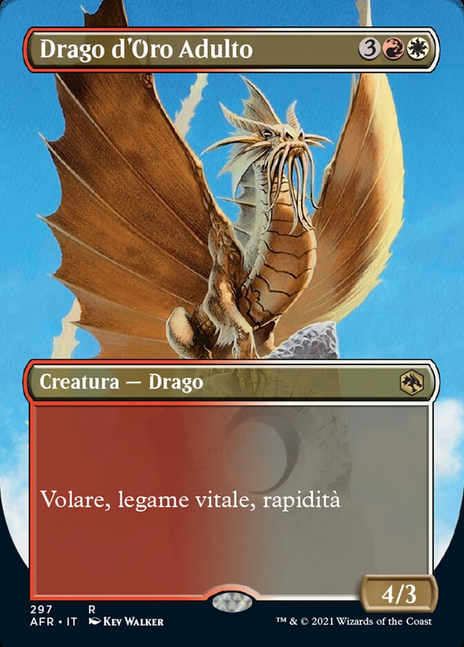 Drago d'Oro Adulto