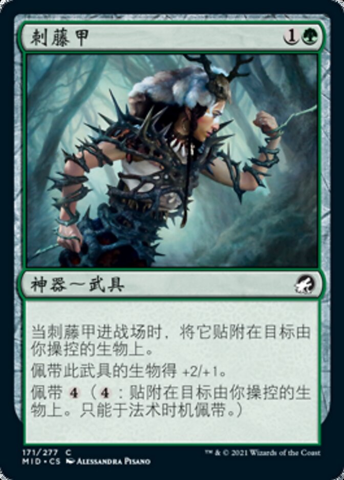 刺藤甲