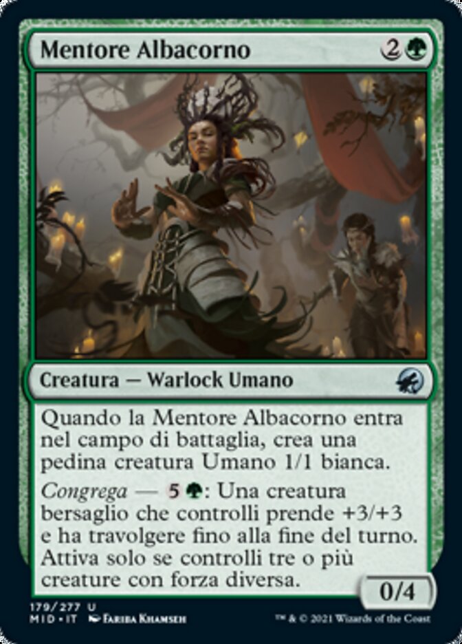Mentore Albacorno