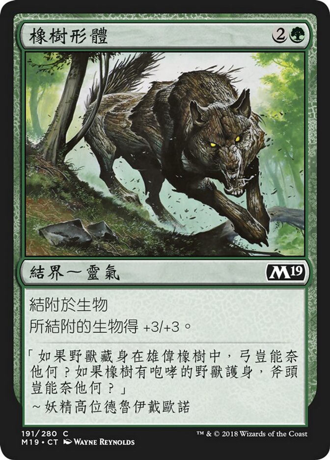 橡樹形體