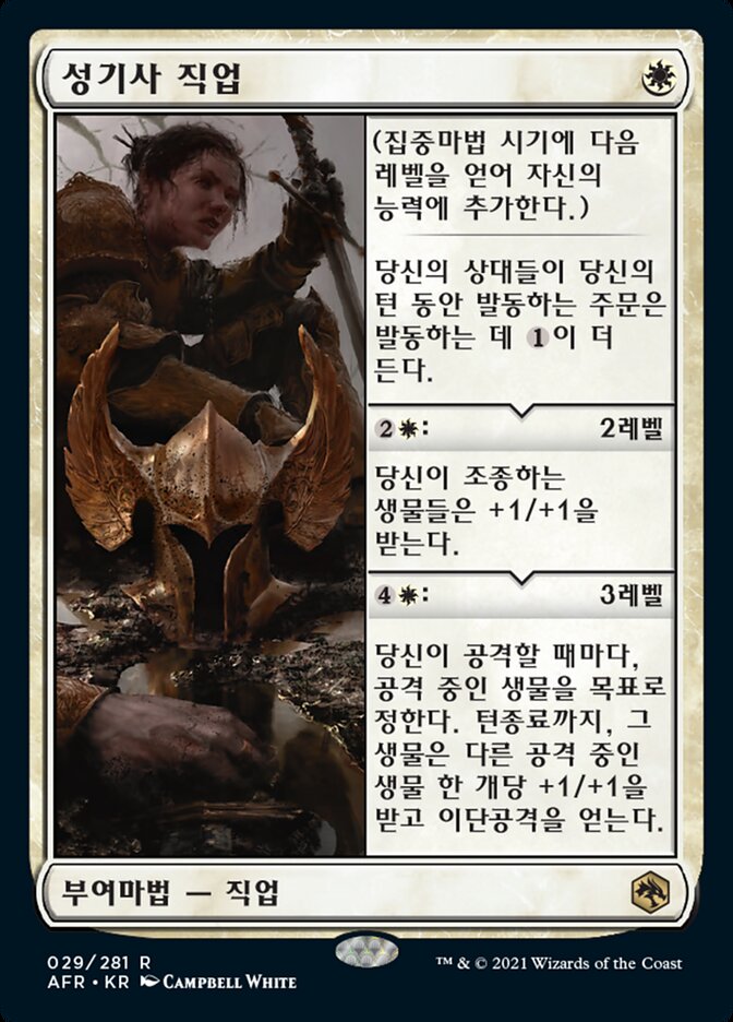 성기사 직업