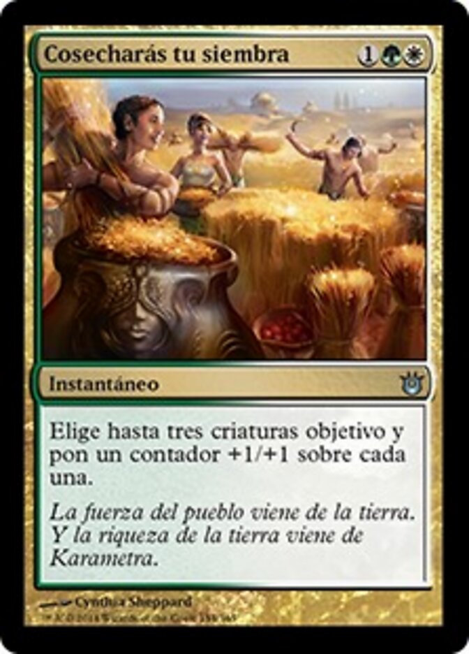 Cosecharás tu siembra