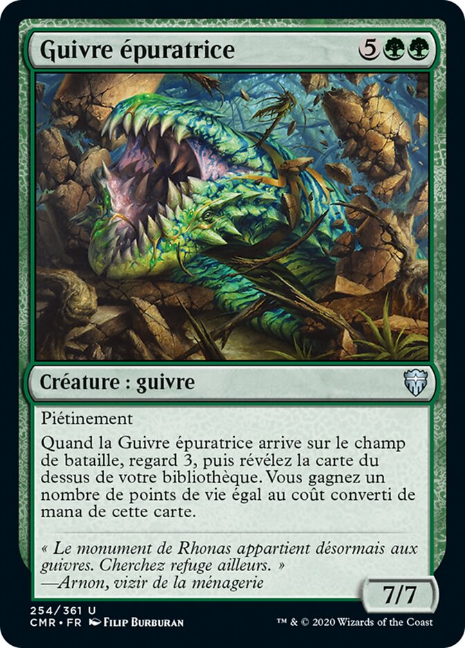 Guivre épuratrice