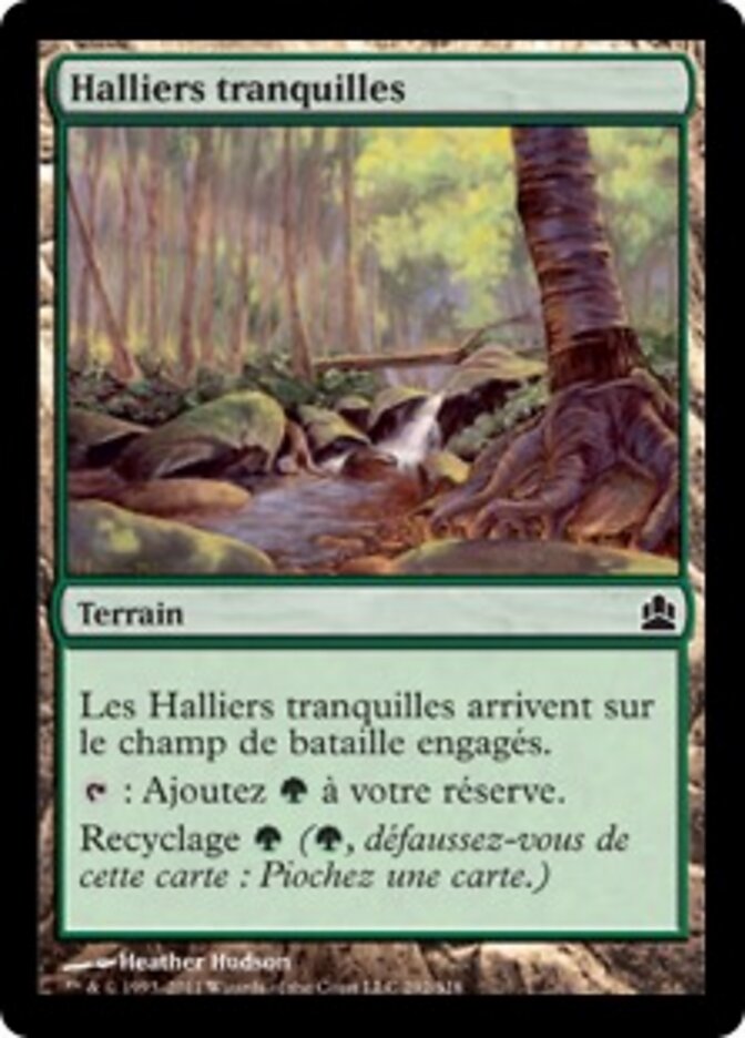 Halliers tranquilles
