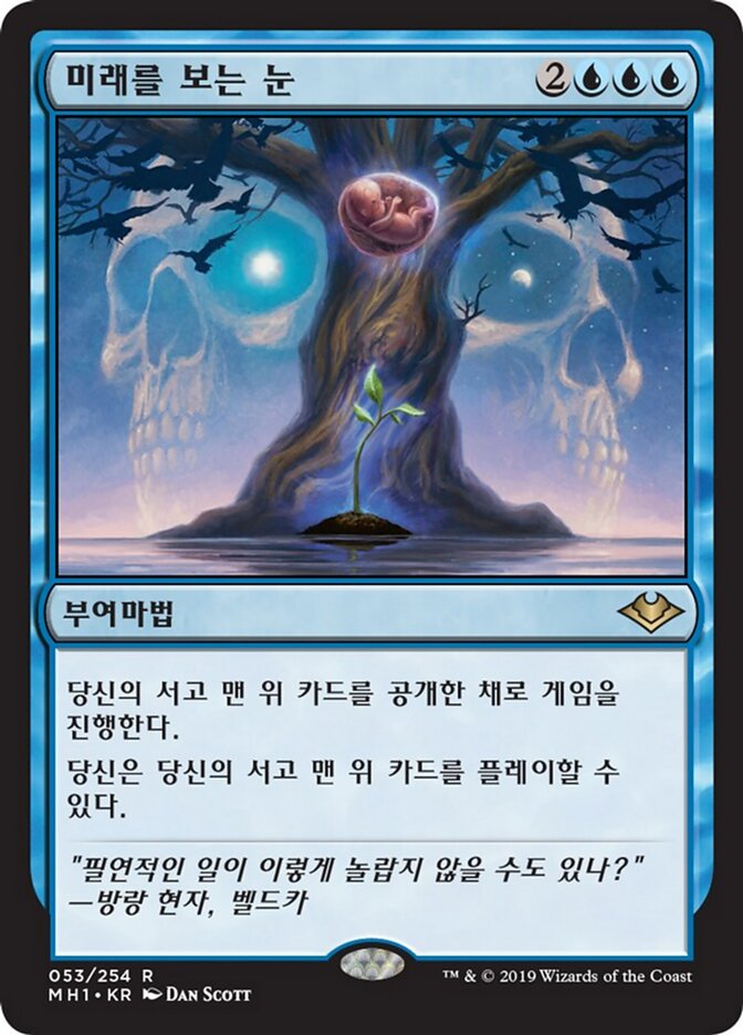 미래를 보는 눈