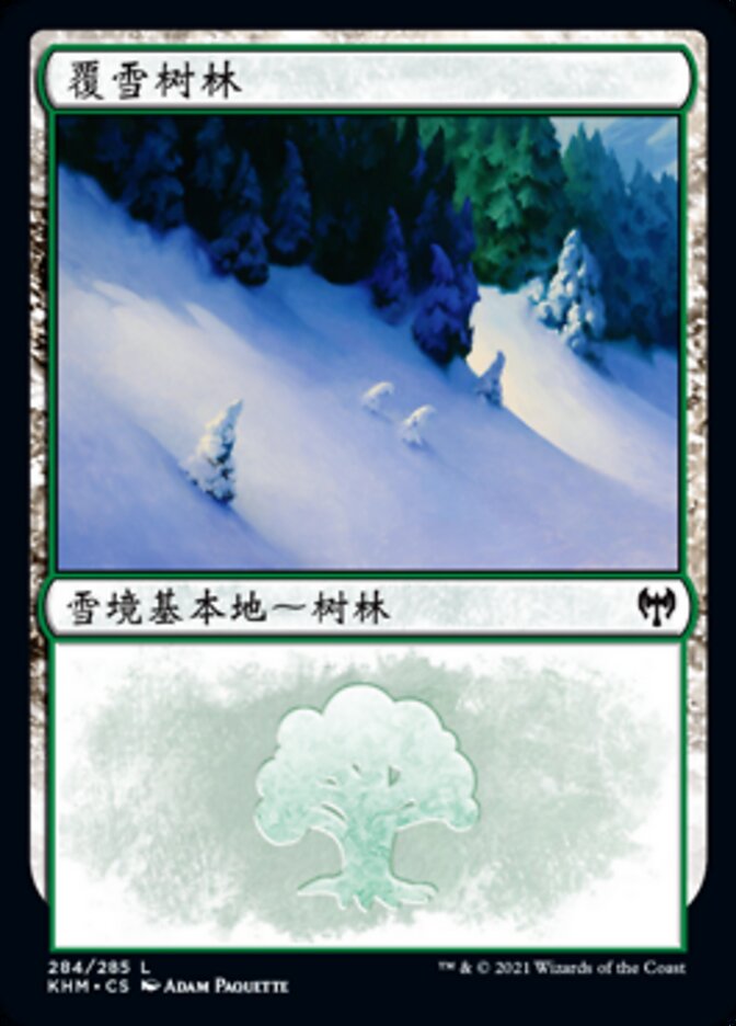 覆雪树林