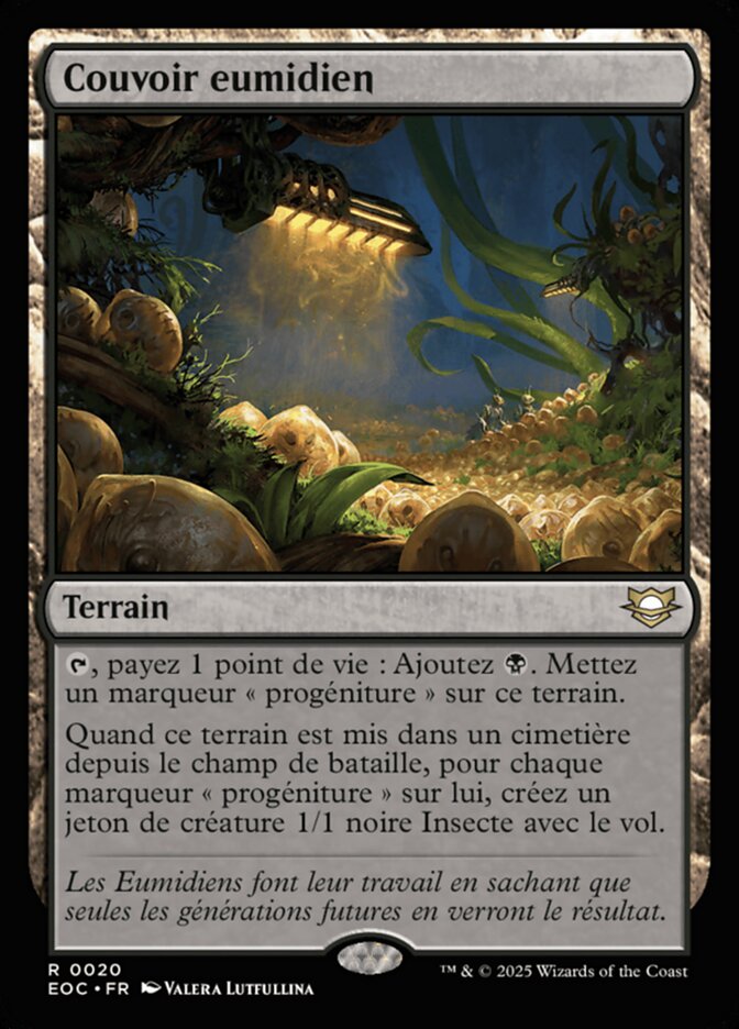 Couvoir eumidien