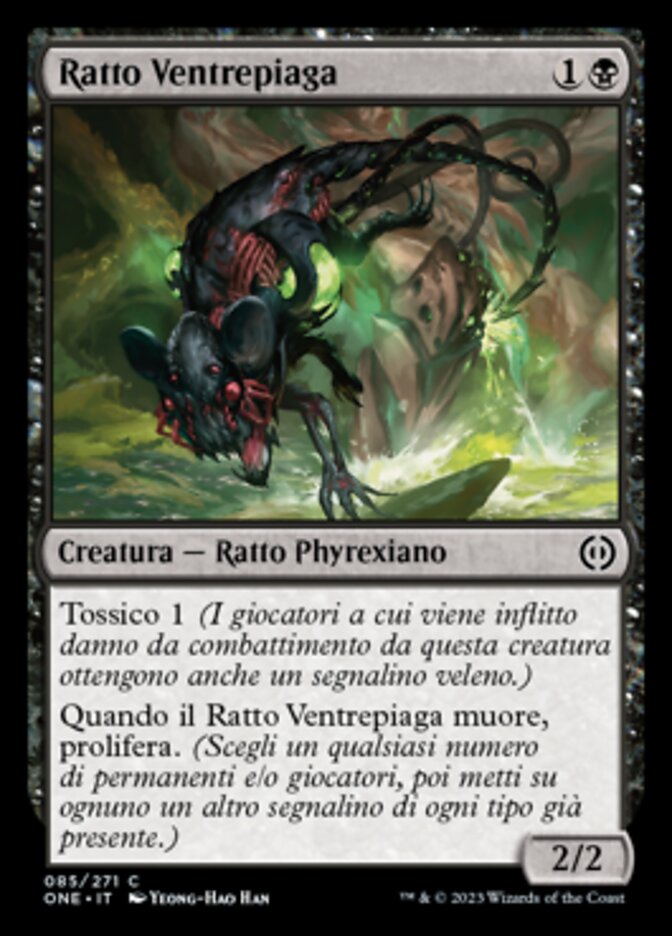 Ratto Ventrepiaga