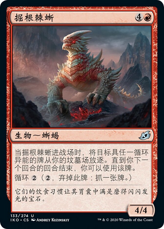 掘根棘蜥