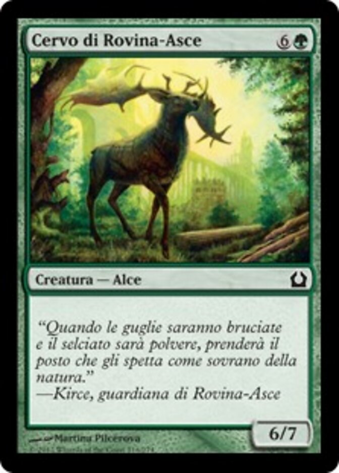 Cervo di Rovina-Asce