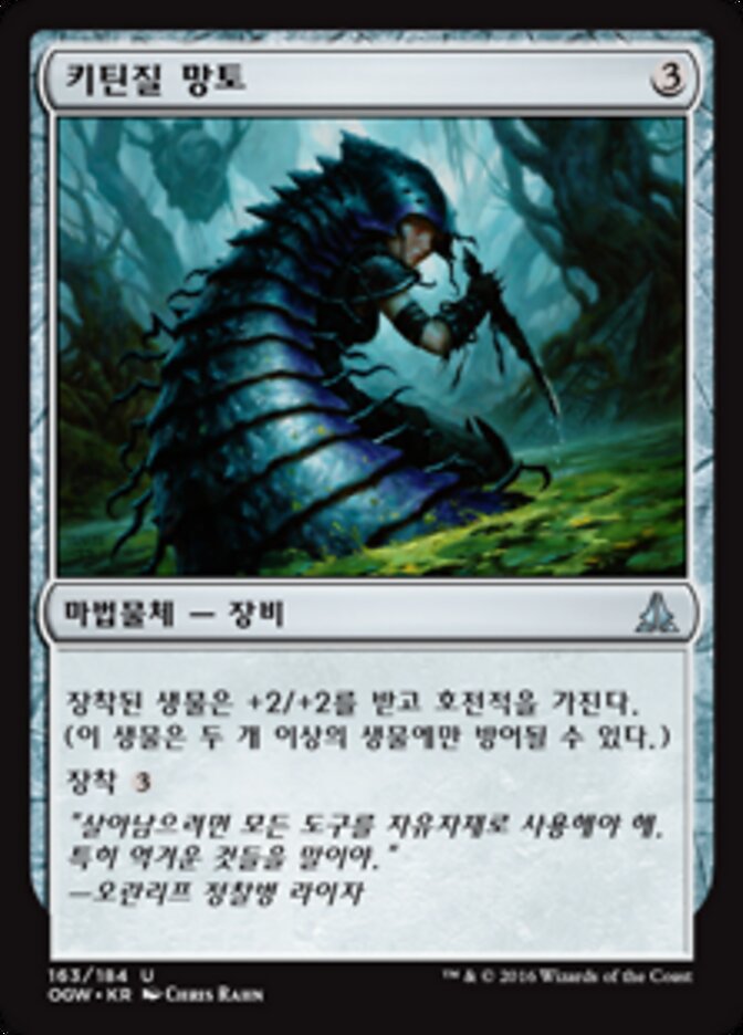 키틴질 망토