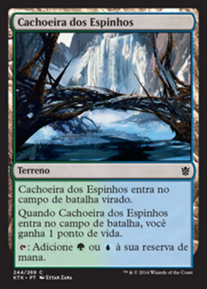 Cachoeira dos Espinhos