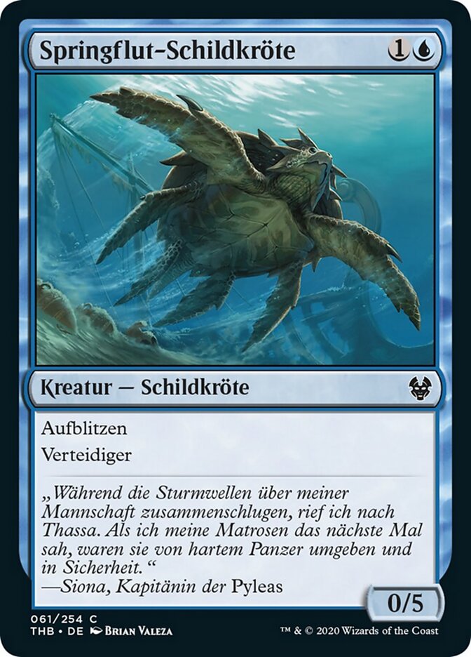 Springflut-Schildkröte
