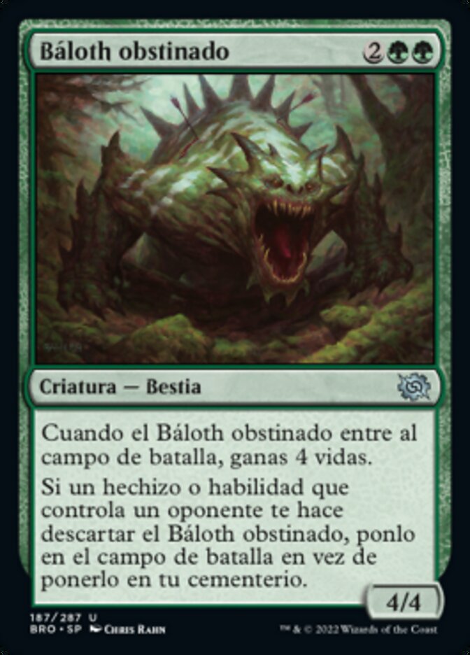 Báloth obstinado