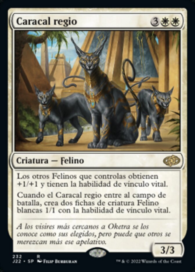 Caracal regio
