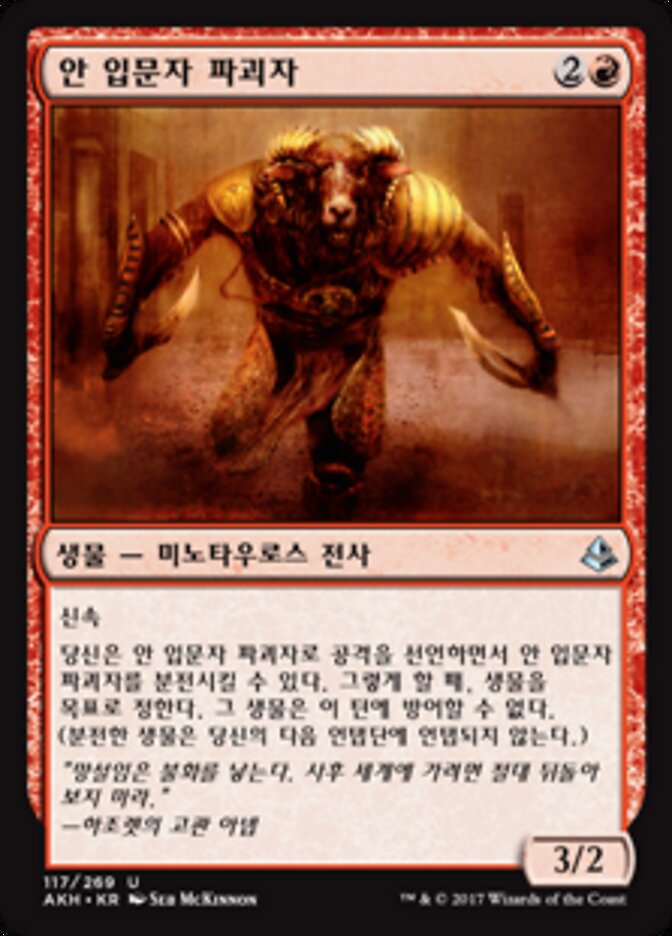 안 입문자 파괴자