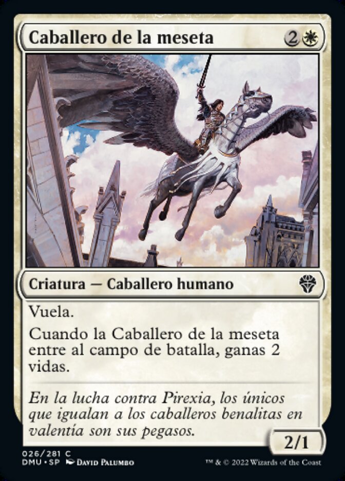 Caballero de la meseta