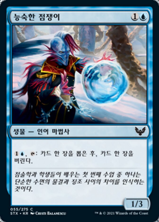 능숙한 점쟁이