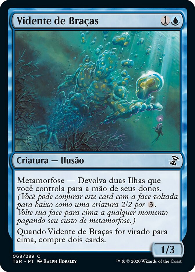 Vidente de Braças