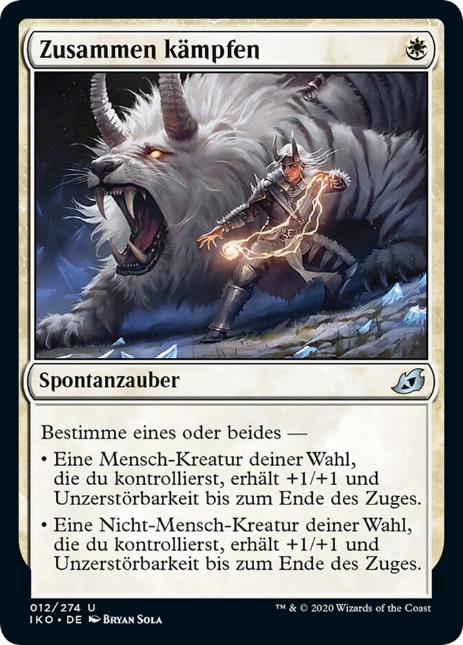 Zusammen kämpfen