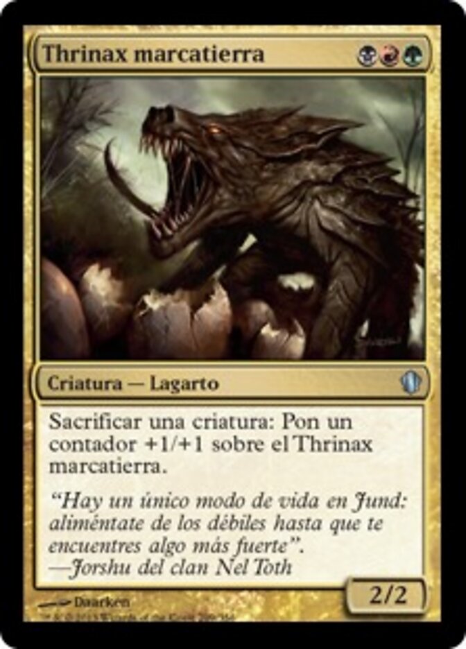 Thrinax marcatierra